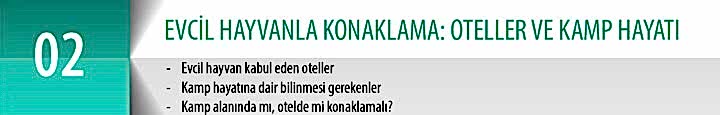 02_Konaklama_Yesil